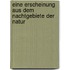 Eine Erscheinung aus dem Nachtgebiete der Natur