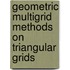 Geometric Multigrid Methods on Triangular Grids