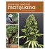 Growing Medical Marijuana: Securely and Legally
