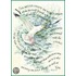 Marie Angel Seagull Inspirational Greeting Card