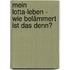 Mein Lotta-Leben - Wie belämmert ist das denn?