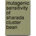 Mutagenic Sensitivity of  Sharada  Cluster Bean