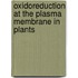 Oxidoreduction at the Plasma Membrane in Plants