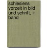 Schlesiens Vorzeit In Bild Und Schrift, Ii Band door Verein FüR. Das Museum Schlesischer Alterthümer