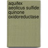 Aquifex aeolicus sulfide: quinone oxidoreductase by Marco Marcia