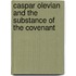 Caspar Olevian and the Substance of the Covenant