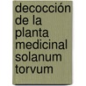 Decocción de la planta medicinal Solanum torvum door Liliana Pérez Jackson