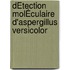 DÉtection MolÉculaire D'aspergillus Versicolor