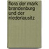 Flora Der Mark Brandenburg Und Der Niederlausitz