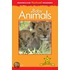 Macmillan Factual Readers Level 1+: Baby Animals