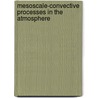 Mesoscale-Convective Processes in the Atmosphere door Robert J. Trapp