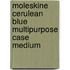 Moleskine Cerulean Blue Multipurpose Case Medium