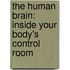 The Human Brain: Inside Your Body's Control Room