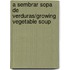 A Sembrar Sopa de Verduras/Growing Vegetable Soup