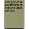 Amalgamated Association Of Iron And Steel Workers door Frederic P. Miller