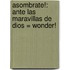 Asombrate!: Ante las Maravillas de Dios = Wonder!