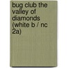 Bug Club The Valley Of Diamonds (white B / Nc 2a) door Rosalind Kerven