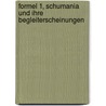 Formel 1, Schumania und ihre Begleiterscheinungen by Thorsten Laabs