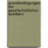 Grundbedingungen der gesellschaftlichen Wohlfahrt