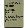 In the Eye of the Storm: Jesus Knows How You Feel by Max Luccado