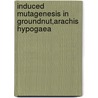 Induced mutagenesis in groundnut,Arachis hypogaea by Jothimani Sekar