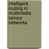 Intelligent Routing in Multimedia Sensor Networks by Ubaid Ur Rehman