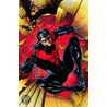 Nightwing Vol. 1: Traps and Trapezes (the New 52) door Kyle Higgins