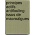 Principes actifs antifouling issus de macroalgues