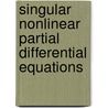 Singular Nonlinear Partial Differential Equations by Raymond Gerard