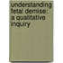 Understanding Fetal Demise: A Qualitative Inquiry