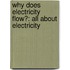 Why Does Electricity Flow?: All About Electricity