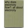 Why Does Electricity Flow?: All About Electricity by Rob Moore