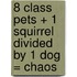 8 Class Pets + 1 Squirrel Divided by 1 Dog = Chaos