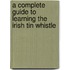 A Complete Guide to Learning the Irish Tin Whistle