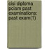 Cisi Diploma Pciam Past Examinations: Past Exam(1)