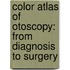 Color Atlas Of Otoscopy: From Diagnosis To Surgery