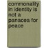 Commonality In Identity Is Not A Panacea For Peace