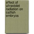 Effect of Ultraviolet Radiation on Catfish Embryos