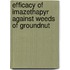 Efficacy of Imazethapyr Against Weeds of Groundnut