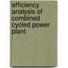 Efficiency Analysis of Combined Cycled Power Plant door Bora Iyiuyarlar