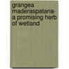 Grangea Maderaspatana- A Promising Herb of Wetland by Bhuwanendra Singh