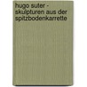 Hugo Suter - Skulpturen aus der Spitzbodenkarrette door Hugo Suter