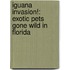 Iguana Invasion!: Exotic Pets Gone Wild In Florida