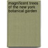 Magnificent Trees of the New York Botanical Garden