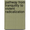 Pathway from tranquility to violent radicalization by Ibrahim Sevki Eldivan
