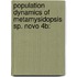 Population Dynamics of Metamysidopsis sp. novo 4b: