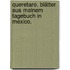 Queretaro. Blätter aus meinem Tagebuch in Mexico.