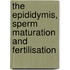 The Epididymis, Sperm Maturation and Fertilisation