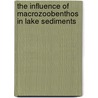 The Influence of Macrozoobenthos in Lake Sediments door Roskosch Andrea