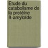 Étude du catabolisme de la protéine ß-amyloïde